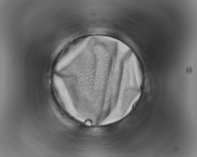 X0000112180059200909041239