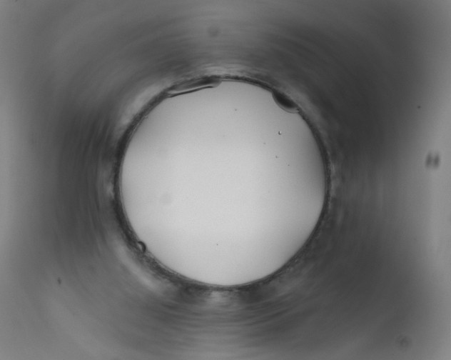 X0000112180060200909041239