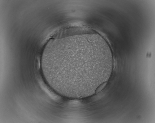 X0000112180061200909041240