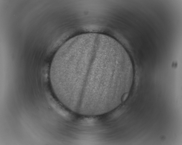 X0000112180065200909041240