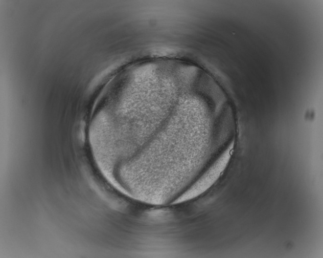 X0000112180067200909041240