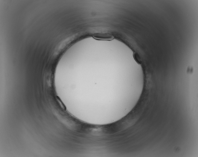 X0000112180068200909041240