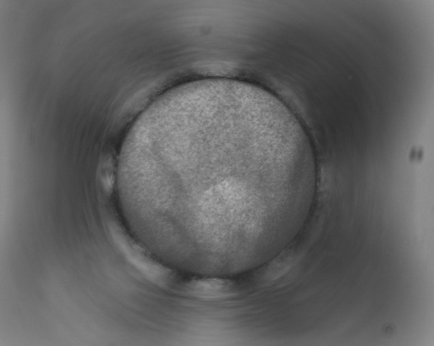 X0000112180069200909041240