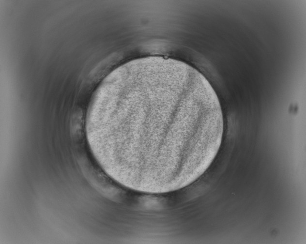 X0000112180073200909041240