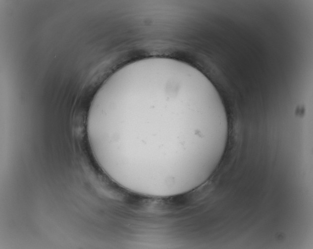 X0000112180074200909041240