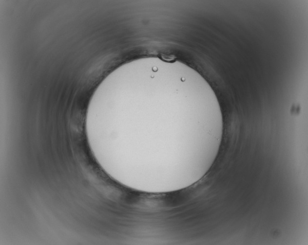 X0000112180078200909041240