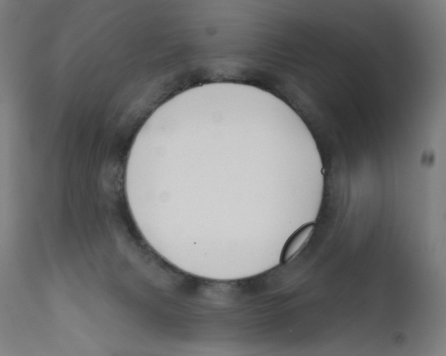 X0000112180079200909041240