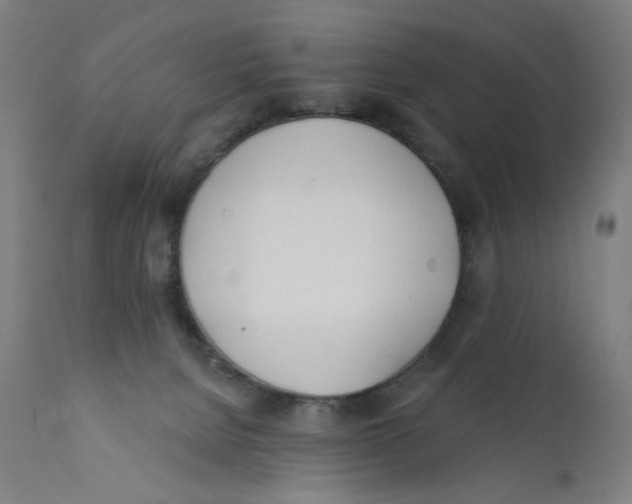 X0000112180080200909041240