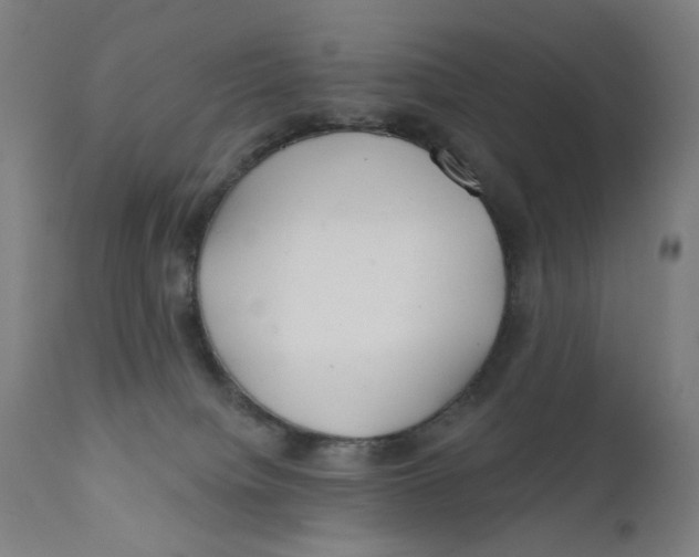 X0000112180084200909041240