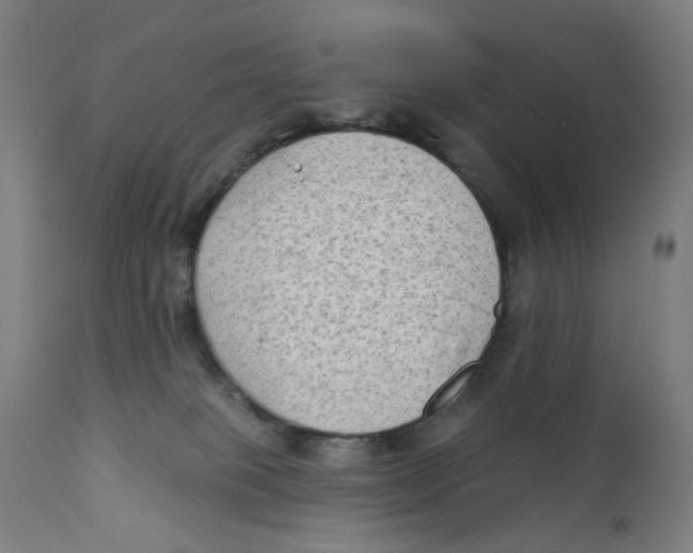 X0000112180085200909041240