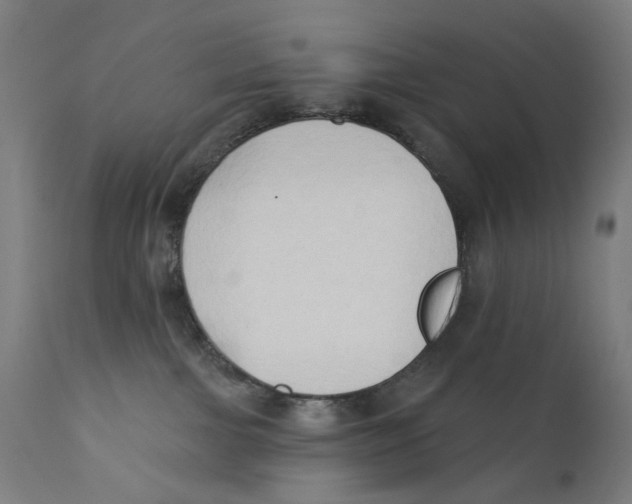 X0000112180091200909041240