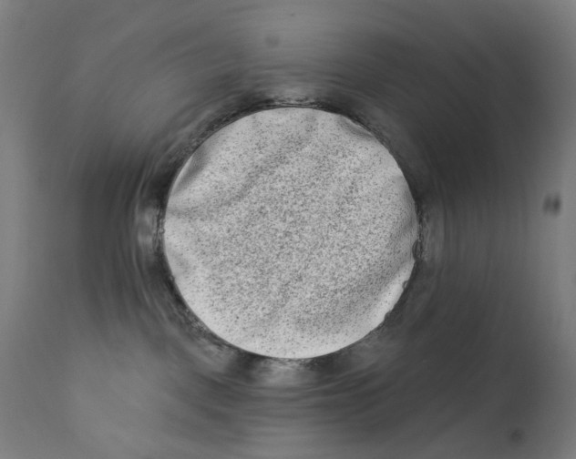 X0000112180093200909041240