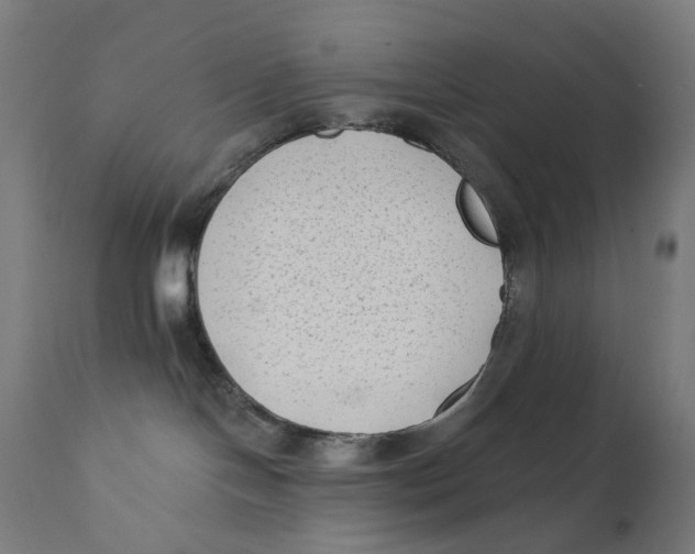 X0000112180094200909041240