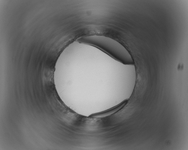 X0000112180096200909041240