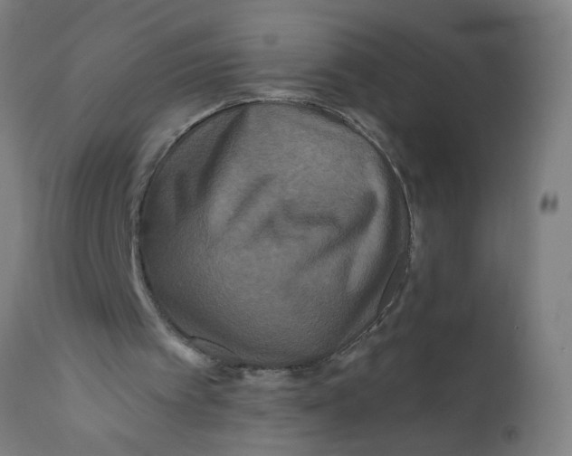 X0000112180097200909041239