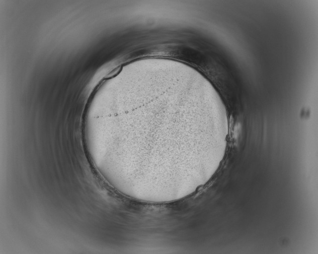 X0000112180099200909041239
