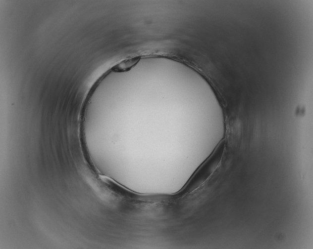 X0000112180100200909041239