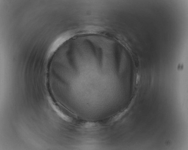 X0000112180101200909041239