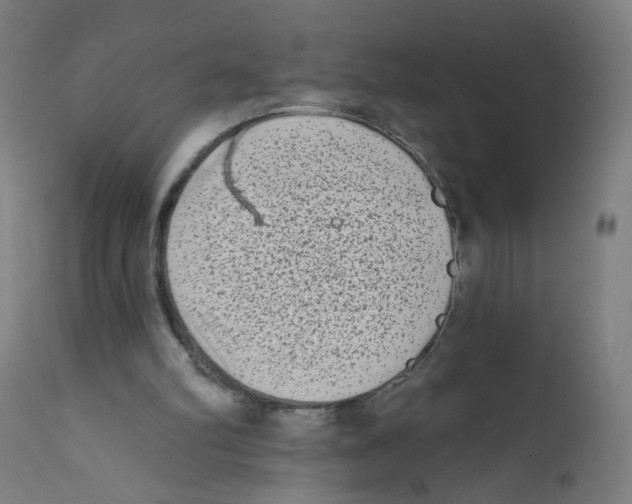 X0000112180102200909041239