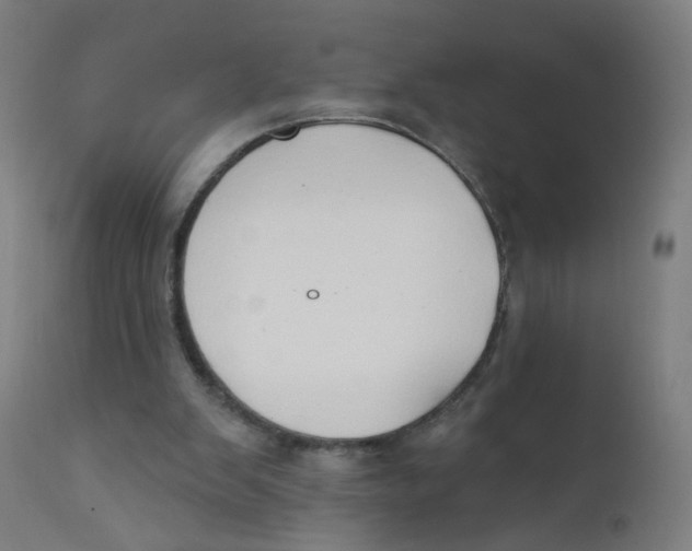 X0000112180103200909041239
