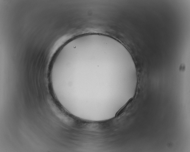 X0000112180104200909041239