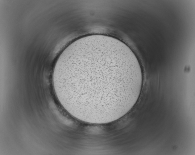 X0000112180106200909041239