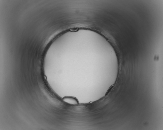 X0000112180108200909041239