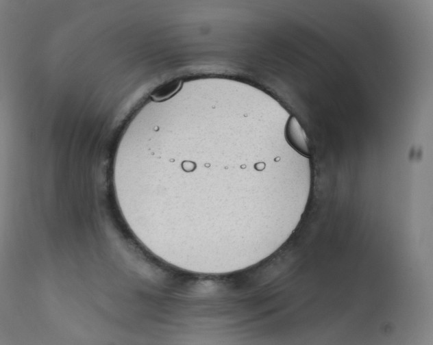 X0000112180111200909041239