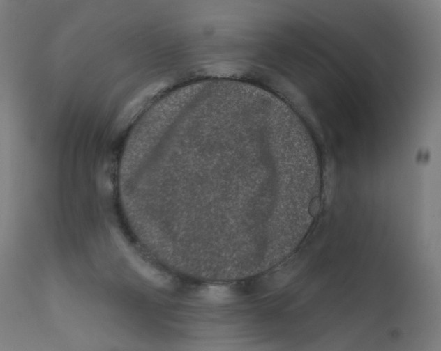 X0000112180114200909041239