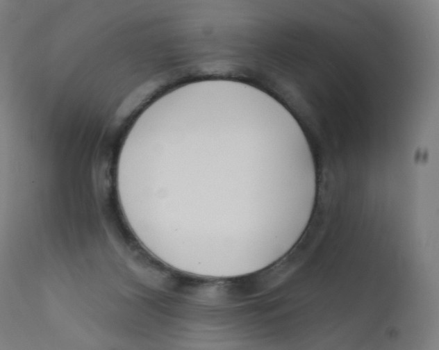 X0000112180116200909041239