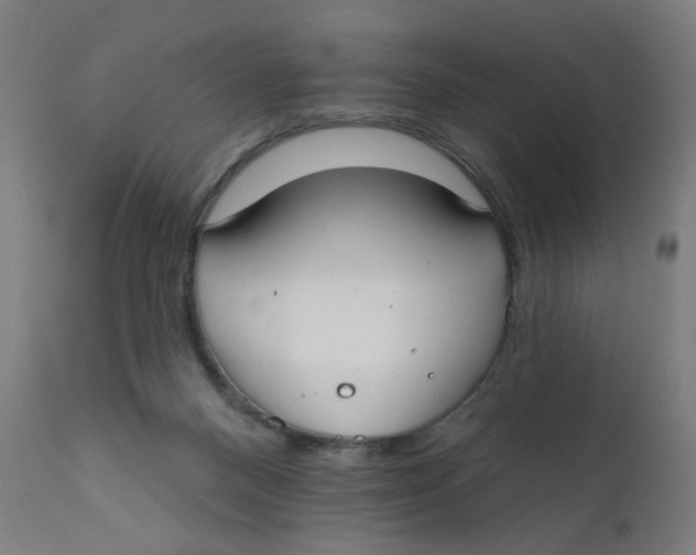 X0000112180120200909041239