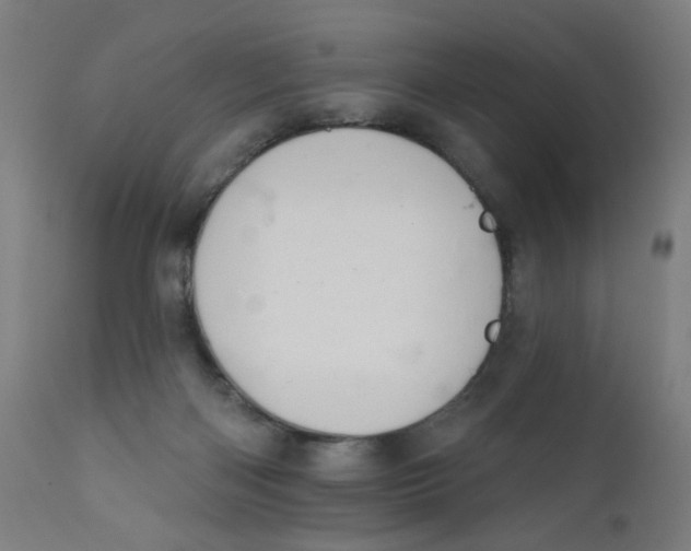 X0000112180122200909041239