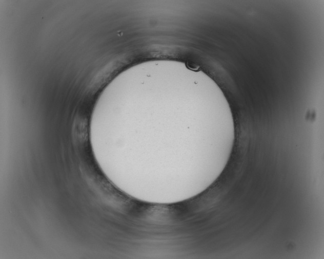 X0000112180123200909041239