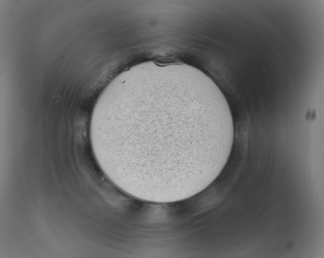 X0000112180127200909041239
