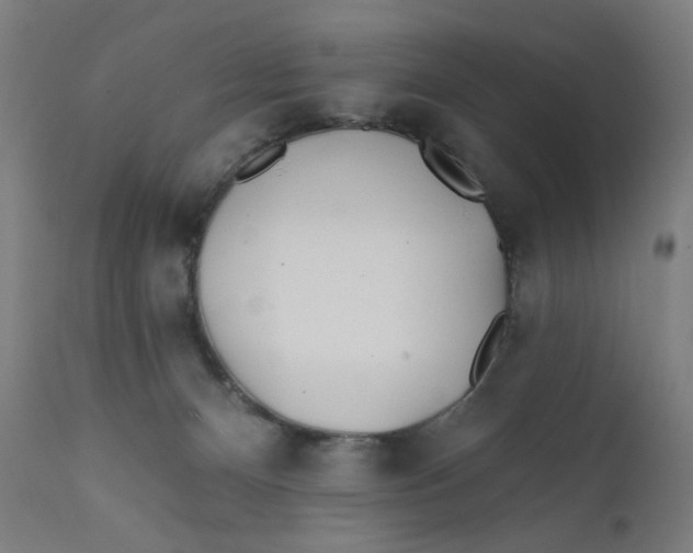 X0000112180128200909041239