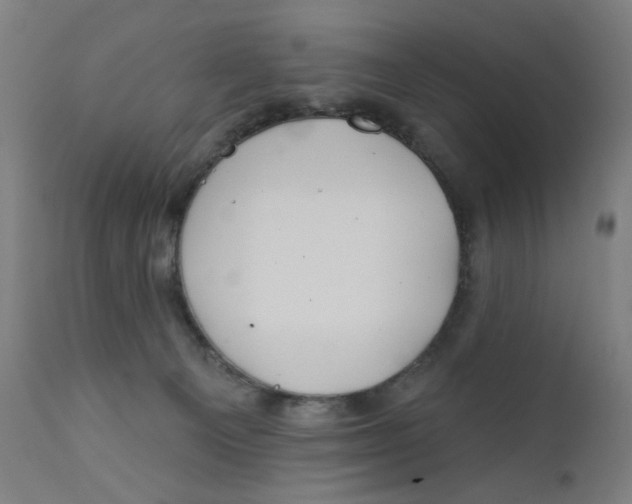 X0000112180129200909041239