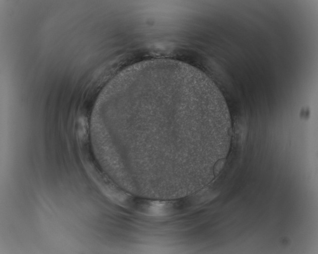 X0000112180130200909041239