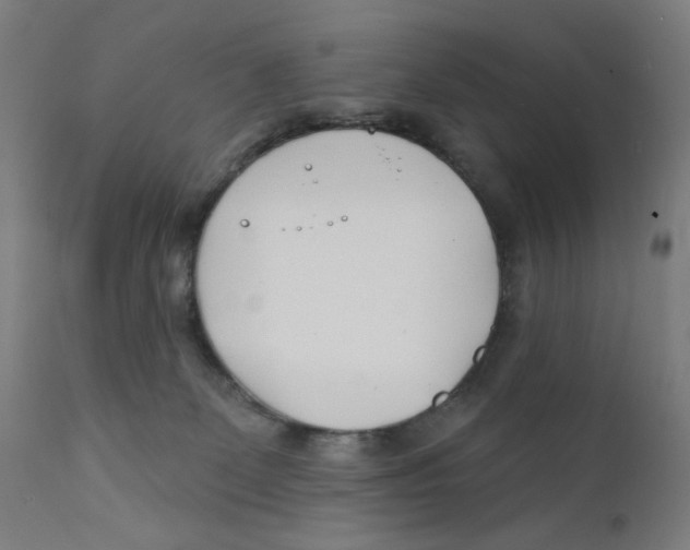 X0000112180131200909041239
