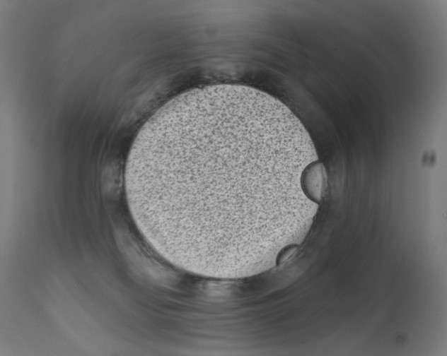 X0000112180134200909041239