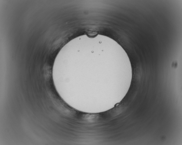 X0000112180135200909041239