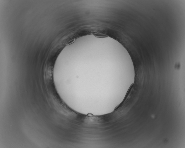 X0000112180137200909041239