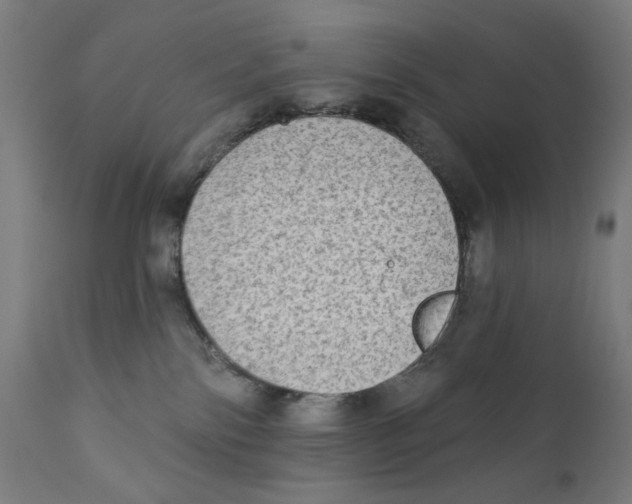X0000112180138200909041239