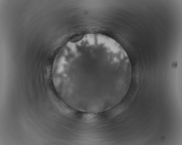 X0000112180139200909041239