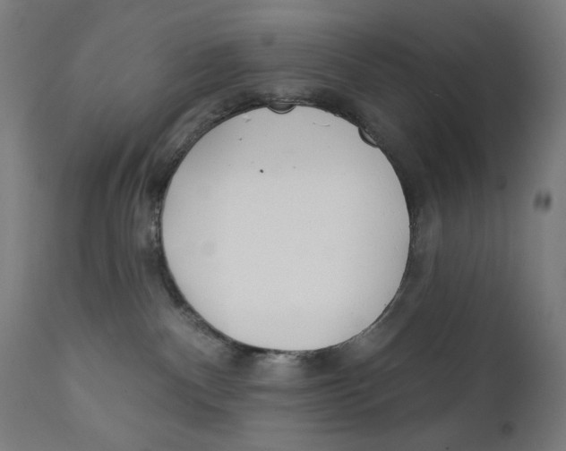 X0000112180140200909041239