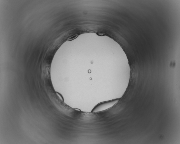 X0000112180141200909041239