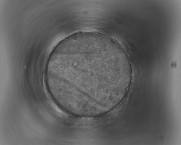 X0000112180145200909041238