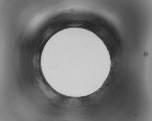 X0000112180146200909041238