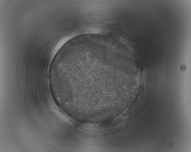 X0000112180147200909041238