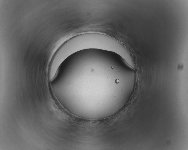 X0000112180148200909041238