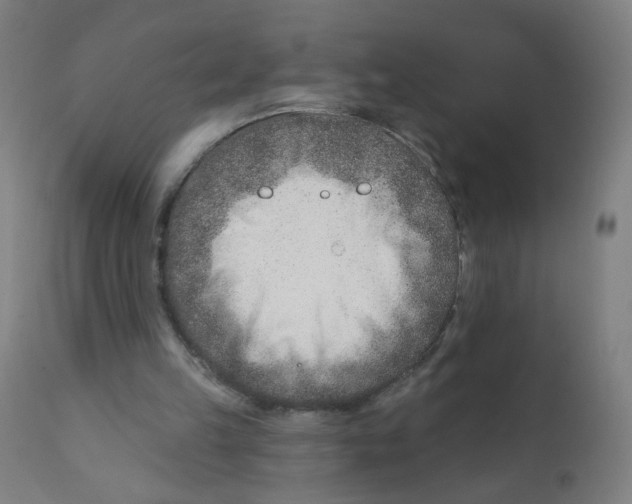 X0000112180149200909041238
